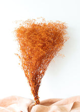 Load image into Gallery viewer, Terracotta Orange Stardust Gypsophila Preserved