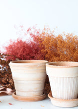 Load image into Gallery viewer, Antique Pink Terracotta Pot and Saucer - 6" Tall x 6.25" Wide with Drainage