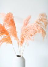 Load image into Gallery viewer, Pack of 6 - Textured Natural Pampas Grass in Pink - 20-30"