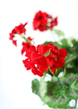 Load image into Gallery viewer, Red Artificial Garden Geranium Flower Bush - 24"