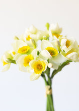 Load image into Gallery viewer, White Yellow Fake Paperwhite Narcissus Flower Bundle - 13"