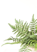 Load image into Gallery viewer, Fake Outdoor Plants Forest Fern Bush - 15"