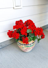 Load image into Gallery viewer, UV Protected Indoor/Outdoor Artificial Geranium Bush - 18" Tall
