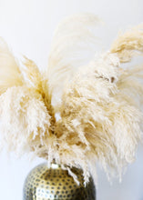Load image into Gallery viewer, Pack of 6 - Textured White Dried Pampas Grass - 20-30"