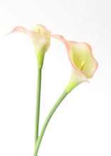 Load image into Gallery viewer, Soft Plastic Calla Lily Flower in Pink Green
