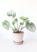 Load image into Gallery viewer, Green Cream Tropical Caladium Fake Leaf Plant - 19"