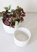 Load image into Gallery viewer, Set of 2 Ceramic Rainbow Footed Planters - 4.75-5.75" Wide