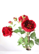 Load image into Gallery viewer, Deep Red Real Touch Charlotte English Rose