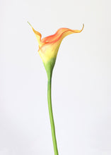 Load image into Gallery viewer, Orange Fake Foam Calla Lily Flower
