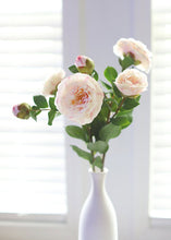 Load image into Gallery viewer, Real Touch Faux Camellia Roses in Cream Pink