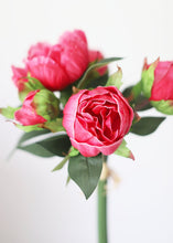 Load image into Gallery viewer, Fuchsia Pink Real Touch Fake Peony Bundle