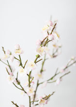 Load image into Gallery viewer, Blush Real Touch Fake Plum Blossom Flowers - 37"