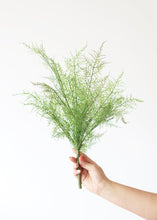 Load image into Gallery viewer, Real Touch Plastic Asparagus Fern