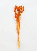 Load image into Gallery viewer, Terracotta Dried Phalaris Grass