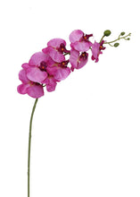 Load image into Gallery viewer, Magenta Artificial Orchids Phalaenopsis - 40" Tall
