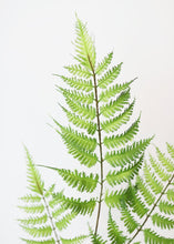 Load image into Gallery viewer, Artificial Forest Fern Leaves - 34" Tall