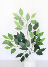 Load image into Gallery viewer, Artificial Deluxe Ficus Leaf Branch - 23" Tall