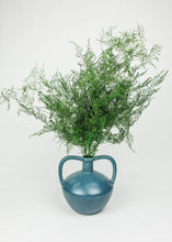 Load image into Gallery viewer, Preserved Evergreen Plumosus Fern Foliage