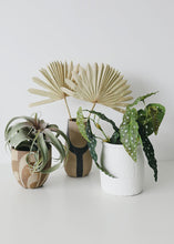 Load image into Gallery viewer, Artificial Angel Wing Begonia Leaf Plant - 12"