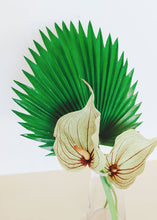 Load image into Gallery viewer, Soft Plastic Tropical Fan Palm Leaf - 37"