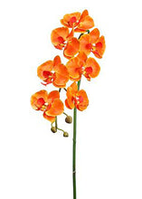 Load image into Gallery viewer, Artificial Phalaenopsis Orchids in Orange - 36"