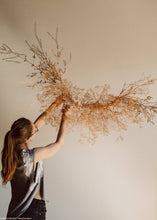 Load image into Gallery viewer, Preserved Natural Gypsophila