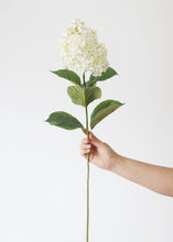 Load image into Gallery viewer, Cream Artificial Oakleaf Hydrangea Flowers - 34.5"