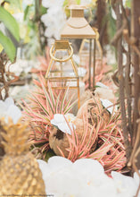 Load image into Gallery viewer, Artificial Dracaena Grass Plant in Variegated Pink - 9.5" Tall