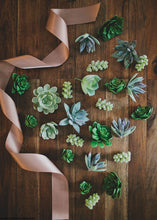 Load image into Gallery viewer, Pack of 3 Mini Artificial Succulents - 1-1.75" Wide