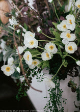Load image into Gallery viewer, Faux Poppy Flowers in White