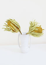 Load image into Gallery viewer, Pack of 2 - Dried Yellow Banksia with Leaves

