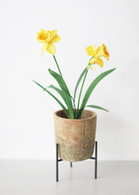 Load image into Gallery viewer, Yellow Real Touch 2 Stem Daffodil Spray- 18"
