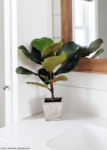 Load image into Gallery viewer, Artificial Fiddle Fig Leaf Plant in Wood Planter - 18" Tall
