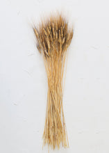 Load image into Gallery viewer, Natural Blackbeard Wheat
