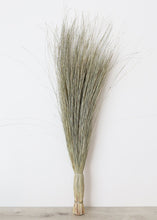 Load image into Gallery viewer, Preserved Green Dune Grass
