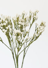 Load image into Gallery viewer, White Real Touch Mini Gypsophila Bush
