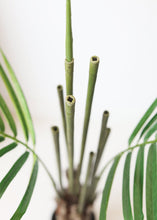 Load image into Gallery viewer, Fake Potted Plants Palm Tree in Pot - 60"
