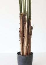 Load image into Gallery viewer, Fake Potted Plants Palm Tree in Pot - 60"
