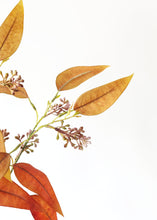 Load image into Gallery viewer, Fake Fall Terracotta Seeded Eucalyptus Leaves - 23"
