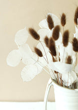 Load image into Gallery viewer, Fake Flower Lunaria Silver Dollar Branch - 42"
