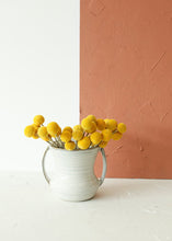 Load image into Gallery viewer, Pack of 25 - Dried Billy Button Craspedia in Yellow
