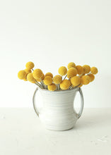 Load image into Gallery viewer, Pack of 25 - Dried Billy Button Craspedia in Yellow
