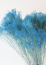 Load image into Gallery viewer, Preserved Gypsophila in Blue
