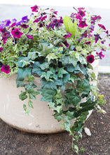 Load image into Gallery viewer, Artificial Plant Ivy Hanging Bush - 31" Long
