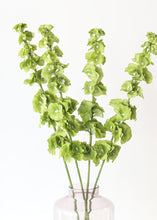 Load image into Gallery viewer, Artificial Bells of Ireland in Emerald Green
