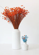 Load image into Gallery viewer, Preserved Gypsophila in Blue
