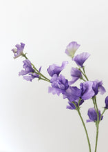 Load image into Gallery viewer, Sweet Pea Flower in Purple Lavender
