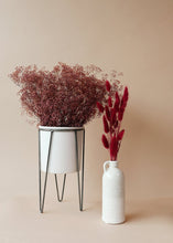 Load image into Gallery viewer, Burgundy Dried Bunny Tail
