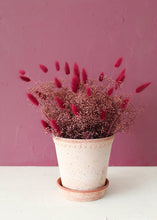 Load image into Gallery viewer, Preserved Stardust Gypsophila in Mauve Brown
