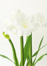 Load image into Gallery viewer, White Fake Amaryllis Plant in Cement Floor Stand - 34"
